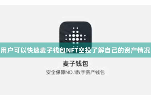 用户可以快速麦子钱包NFT空投了解自己的资产情况