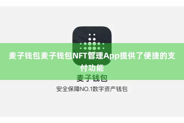 麦子钱包麦子钱包NFT管理App提供了便捷的支付功能