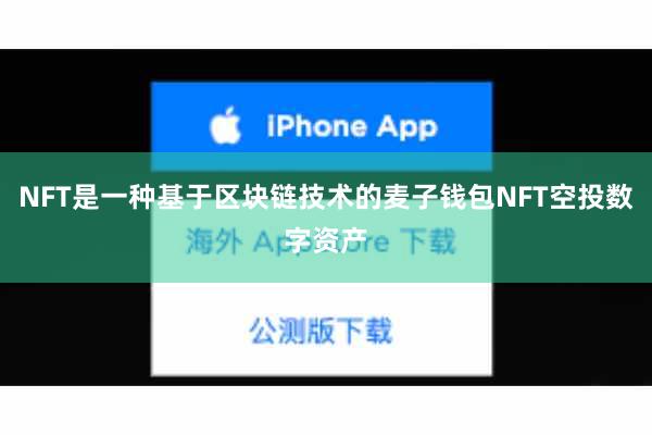 NFT是一种基于区块链技术的麦子钱包NFT空投数字资产