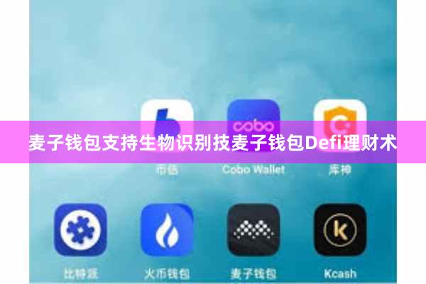 麦子钱包支持生物识别技麦子钱包Defi理财术
