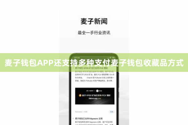 麦子钱包APP还支持多种支付麦子钱包收藏品方式
