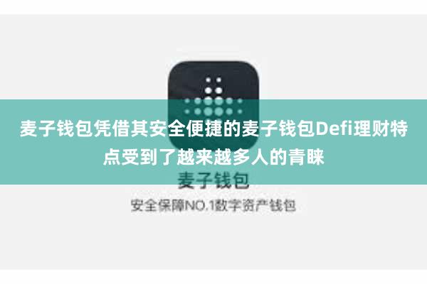 麦子钱包凭借其安全便捷的麦子钱包Defi理财特点受到了越来越多人的青睐
