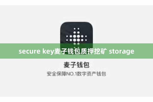secure key麦子钱包质押挖矿 storage