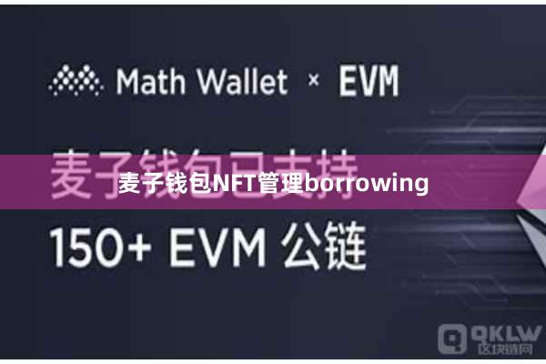 麦子钱包NFT管理borrowing