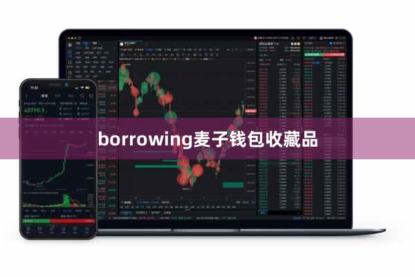 borrowing麦子钱包收藏品