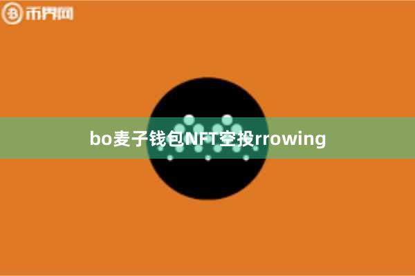 bo麦子钱包NFT空投rrowing