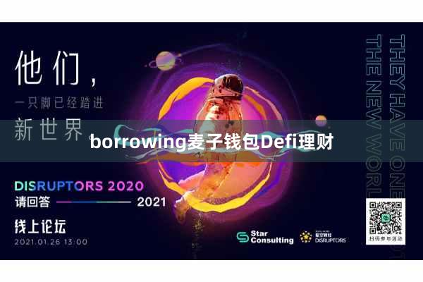 borrowing麦子钱包Defi理财
