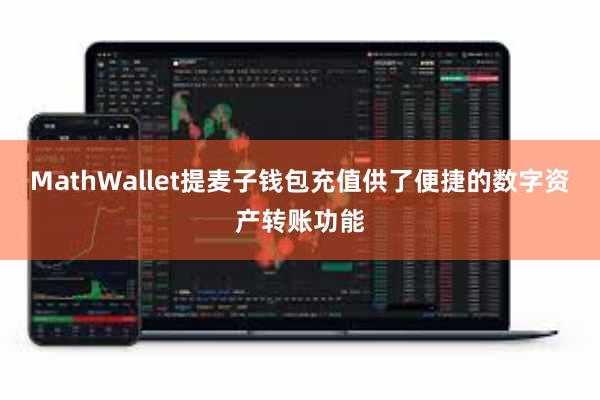 MathWallet提麦子钱包充值供了便捷的数字资产转账功能