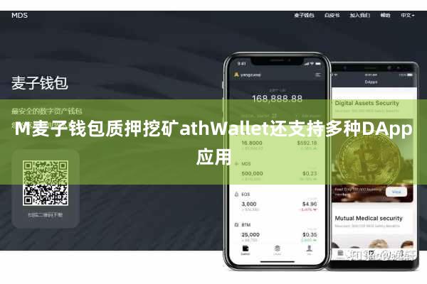 M麦子钱包质押挖矿athWallet还支持多种DApp应用