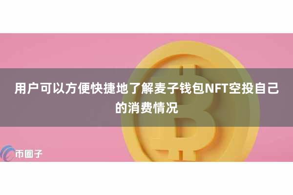 用户可以方便快捷地了解麦子钱包NFT空投自己的消费情况