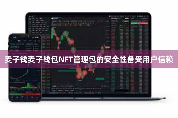 麦子钱麦子钱包NFT管理包的安全性备受用户信赖
