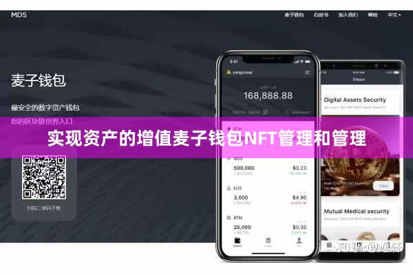 实现资产的增值麦子钱包NFT管理和管理