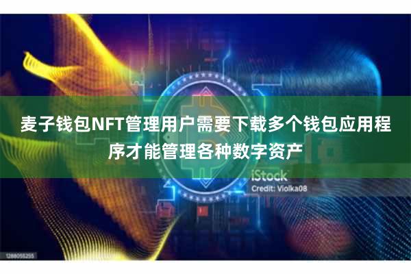 麦子钱包NFT管理用户需要下载多个钱包应用程序才能管理各种数字资产