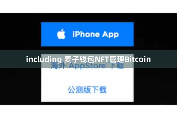 including 麦子钱包NFT管理Bitcoin