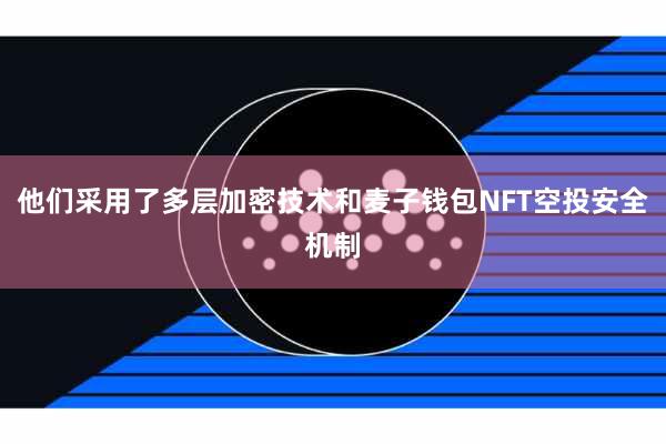 他们采用了多层加密技术和麦子钱包NFT空投安全机制