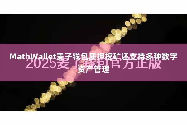 MathWallet麦子钱包质押挖矿还支持多种数字资产管理